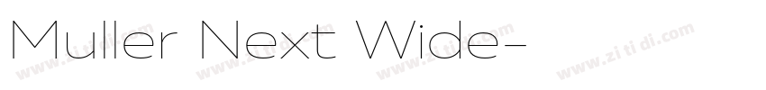 Muller Next Wide字体转换